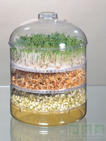Germoir en verre pour graines à germer